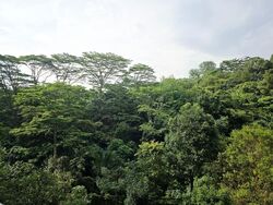 Blk 118 Sunset Way Residence (Clementi), HDB 4 Rooms #498370661